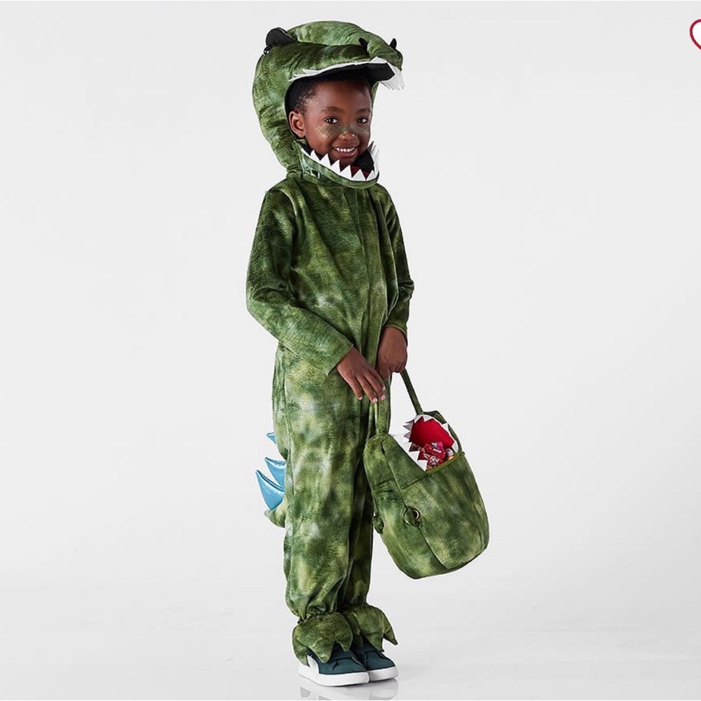 Pottery Barn Kids Green Dinosaur Costume